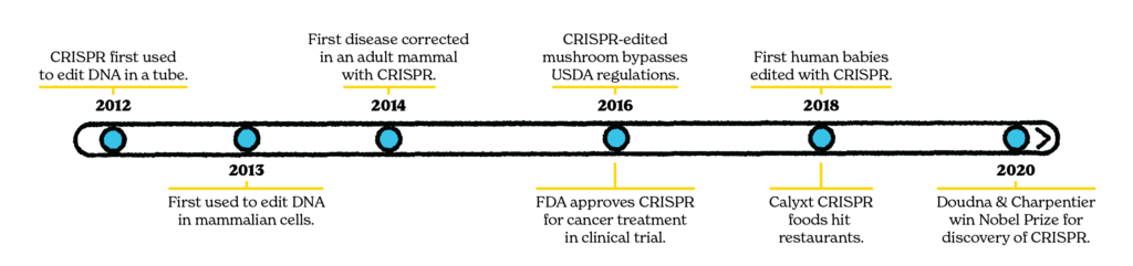 Runaway Biology A Call For Conscientious Genome Editing With Crispr Sftp Magazine