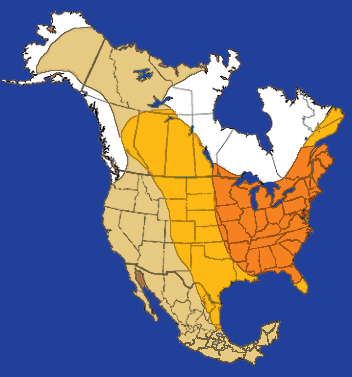 Arrowhead point distribution of Clovis culture