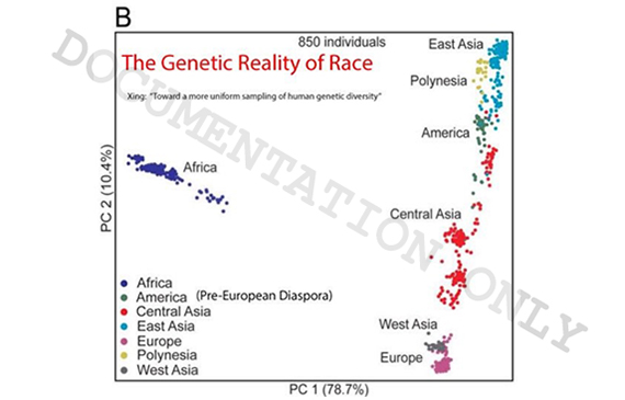 Which IQ indices are most highly correlated with chess playing ability? -  Quora