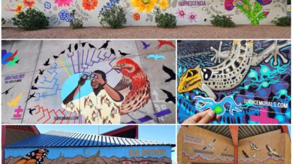 Art±Bio Science Murals can be found in New England and along the U.S.-Mexico border. Through vivid biological imagery and simple language they depict scientific concepts, areas of study, unique habitats, and iconic desert species, like Florescence/Florescencia, Ornithology, Nocturnal Gecko Vision, Rio Bosque, and Endemic Species/Especia Endemica: Opuntia Arenaria. Photos by: Stephanie Dowdy-Nava and Saúl Nava