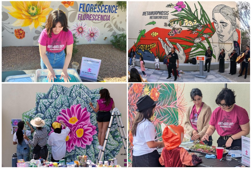 Photos by Saúl Nava (top), Natan Contreras (bottom left), Nikki Solano (bottom right).