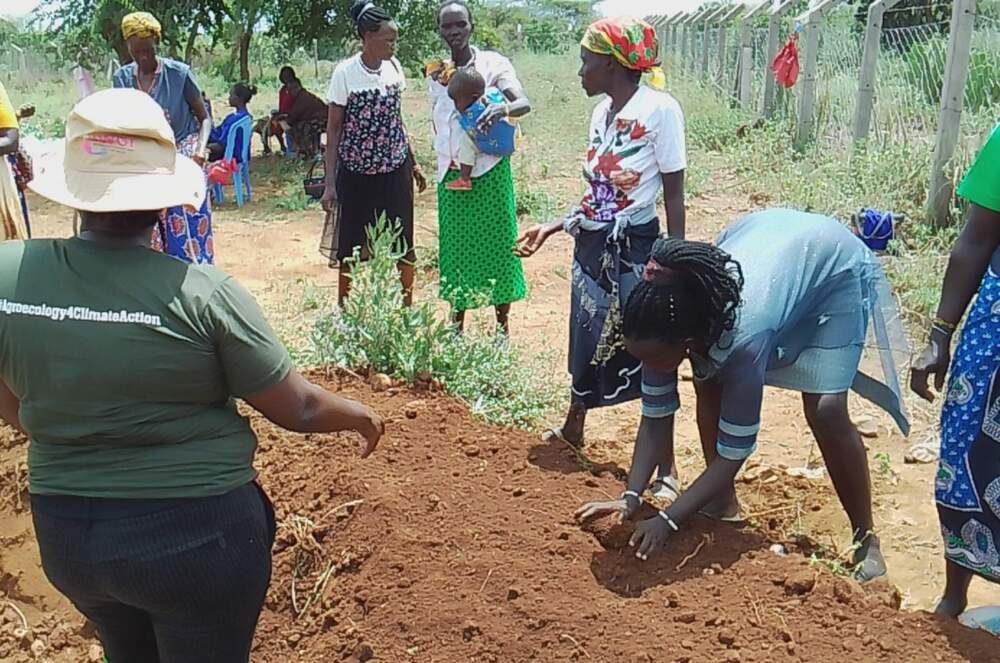 Image provided by author