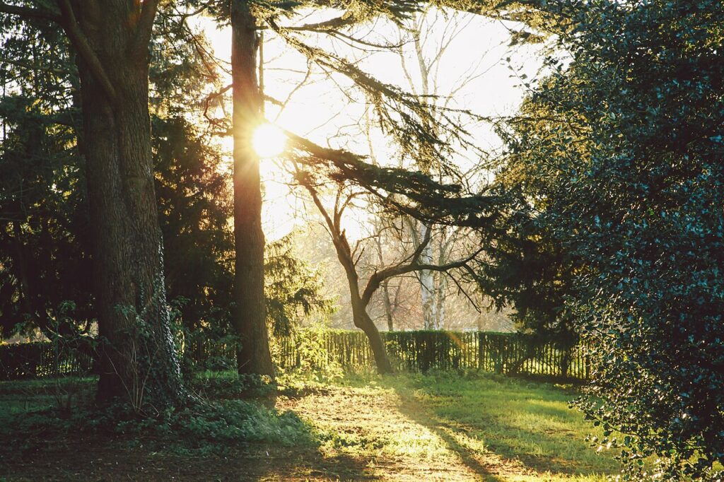 Photo by Christian Bortes. This file is licensed under the Creative Commons Attribution-Share Alike 2.0 Generic license.